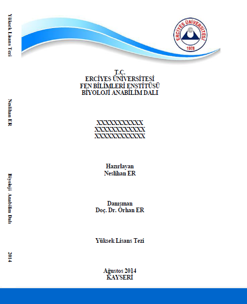 Tez-Mer Tez Yazımı Tez Dizgi